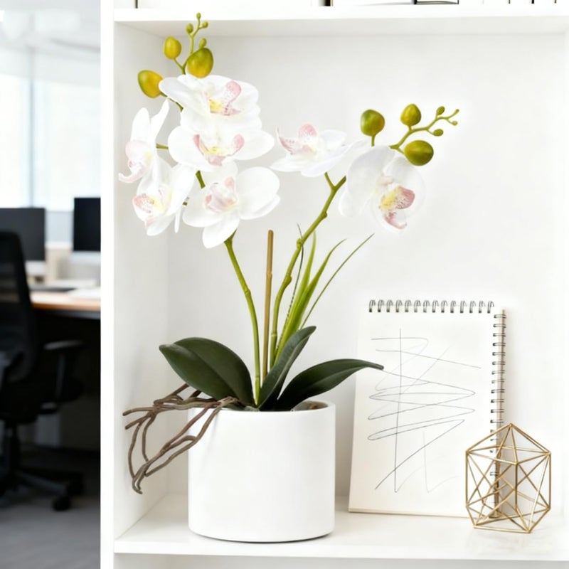 Jusdreen Artificial White Orchid in Ceramic Pot, Realistic Phalaenopsis Arrangement with Potting for Home Office Table Decor, 14.5 Inch Flower Centerpiece - Image 3